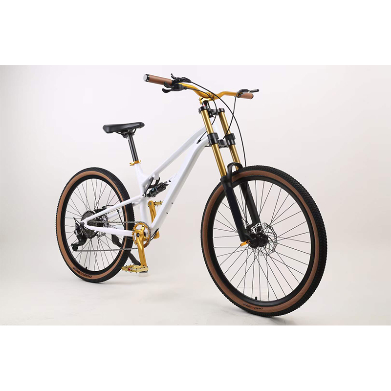 27.5 Inch Full Suspension Moun - đánh giá và giá Mountain Biking Downhill